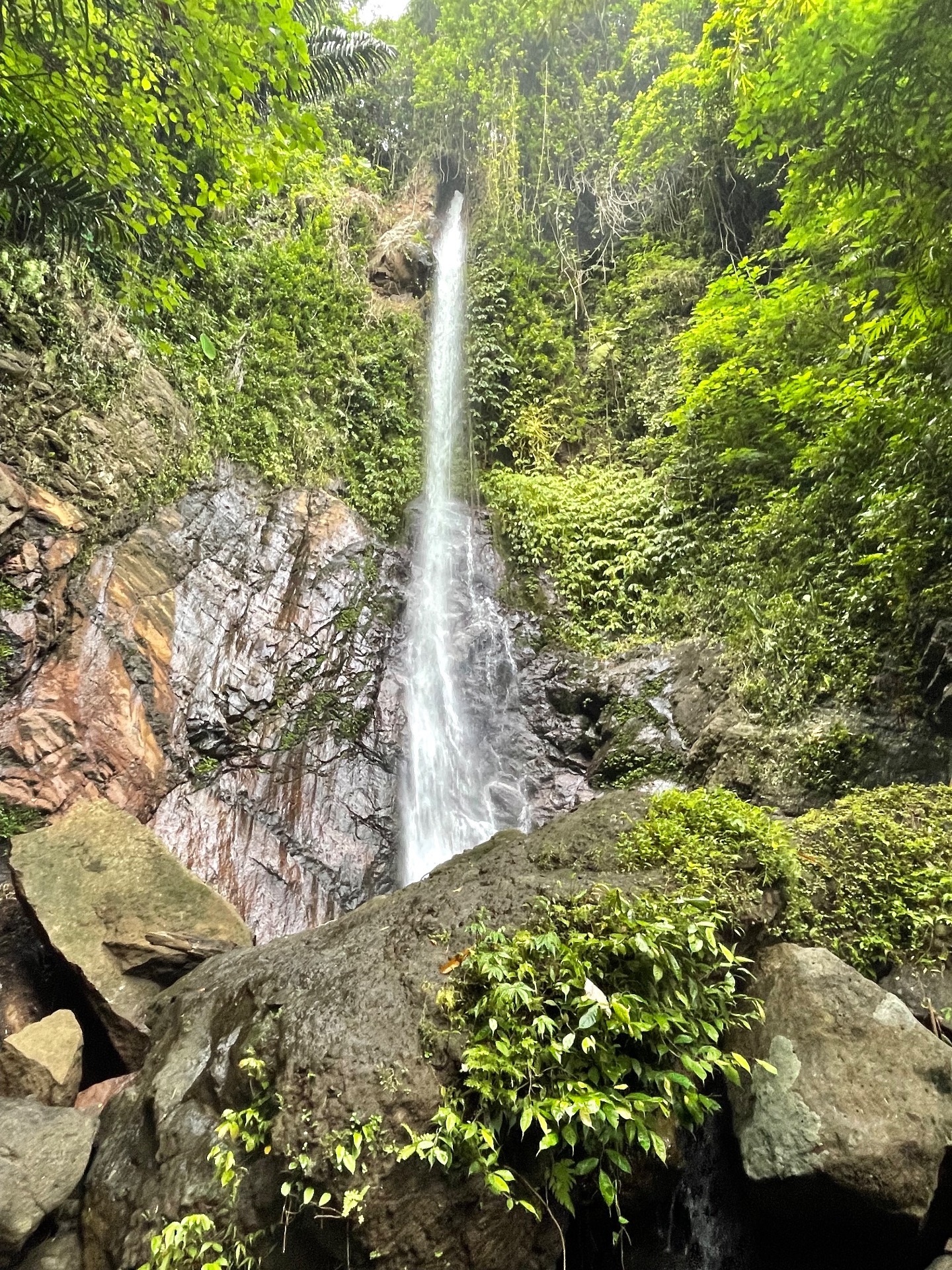 Bali — fotografie 7