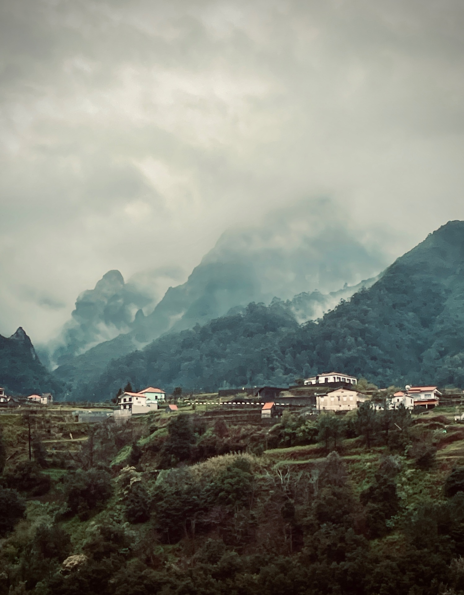 Madeira — fotografie 6