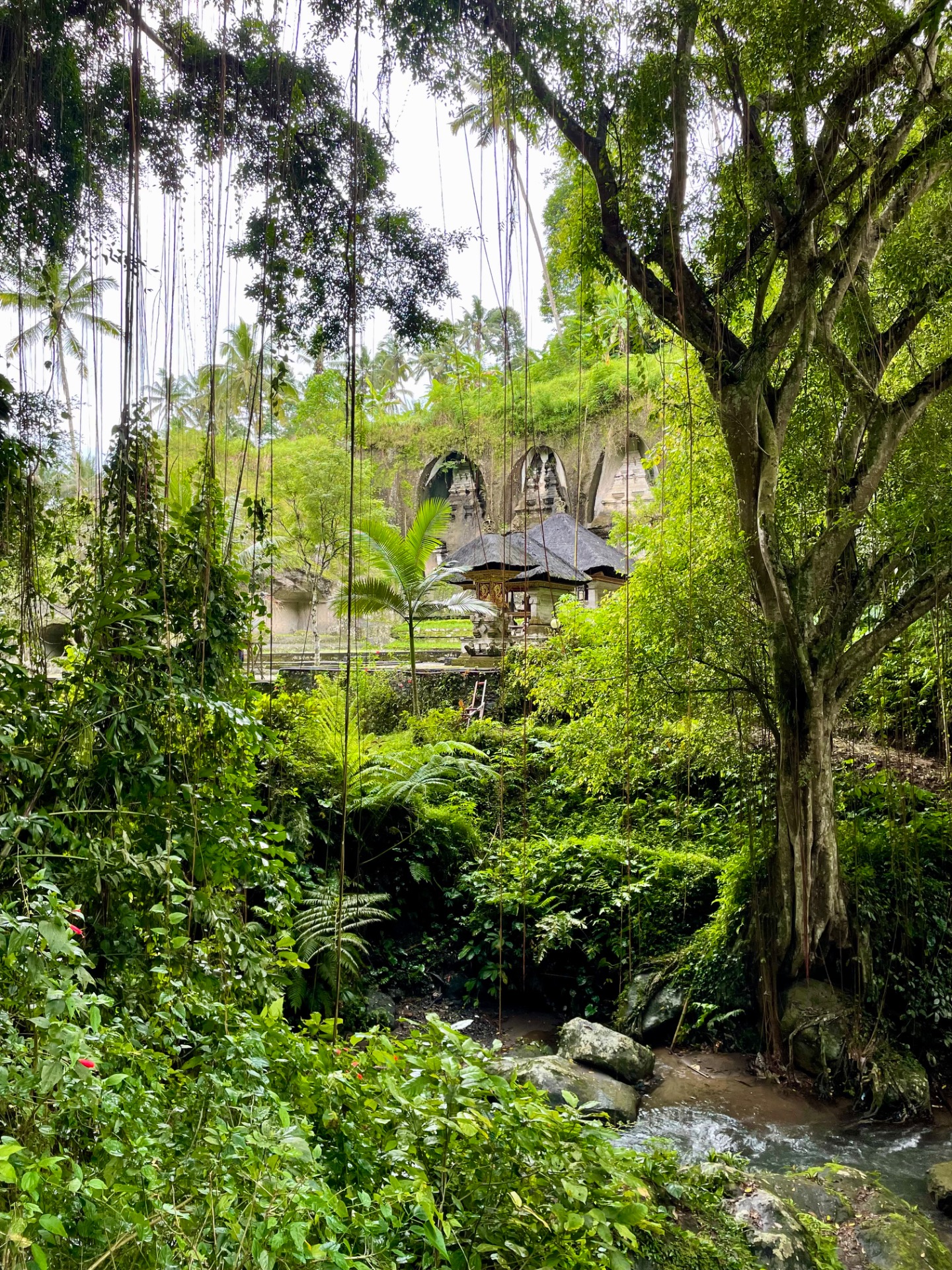 Bali — fotografie 2