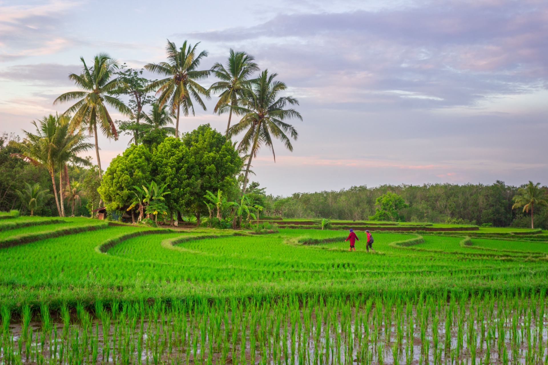 Bali — fotografie 9