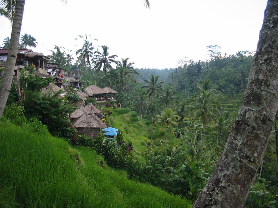 Bali